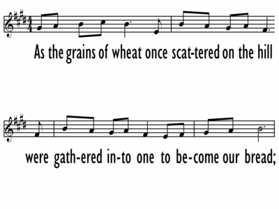 AS THE GRAINS OF WHEAT - Lead Line-ppt