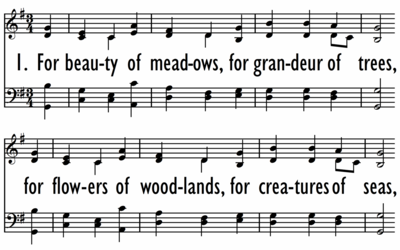 FOR BEAUTY OF MEADOWS-ppt